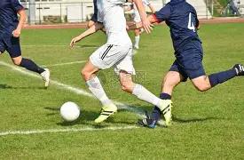 亲子同行徒,步鶴咀,领略鲸骨之,半岛体育,半岛体育官网,半岛体育官网玩家首选